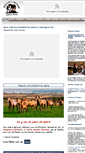 Mobile Screenshot of caballosyliderazgo.com